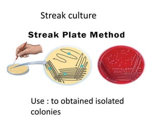 Streak culture
Use : to obtained isolated
colonies
 