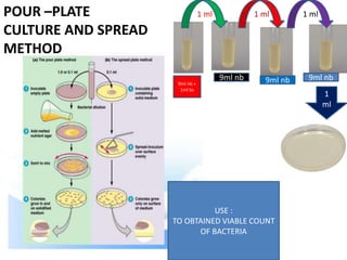 POUR –PLATE
CULTURE AND SPREAD
METHOD
USE :
TO OBTAINED VIABLE COUNT
OF BACTERIA
1
ml
9ml nb +
1ml bs
9ml nb 9ml nb 9ml nb
1 ml 1 ml 1 ml
 