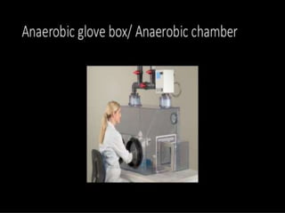 Culture media and methods