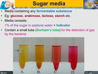 Sugar media
• Media containing any fermentable substance
• Eg: glucose, arabinose, lactose, starch etc.
• Media consists:
1% of the sugar in peptone water + Indicator
• Contain a small tube (Durham’s tube) for the detection of gas
by the bacteria
 
