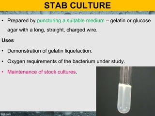 STAB CULTURE
• Prepared by puncturing a suitable medium – gelatin or glucose
agar with a long, straight, charged wire.
Uses
• Demonstration of gelatin liquefaction.
• Oxygen requirements of the bacterium under study.
• Maintenance of stock cultures.
 