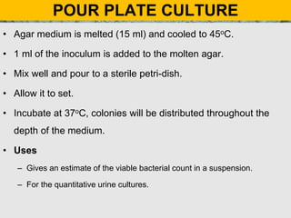 POUR PLATE CULTURE
• Agar medium is melted (15 ml) and cooled to 45oC.
• 1 ml of the inoculum is added to the molten agar.
• Mix well and pour to a sterile petri-dish.
• Allow it to set.
• Incubate at 37oC, colonies will be distributed throughout the
depth of the medium.
• Uses
– Gives an estimate of the viable bacterial count in a suspension.
– For the quantitative urine cultures.
 