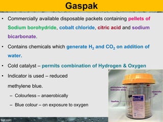Gaspak
• Commercially available disposable packets containing pellets of
Sodium borohydride, cobalt chloride, citric acid and sodium
bicarbonate.
• Contains chemicals which generate H2 and CO2 on addition of
water.
• Cold catalyst – permits combination of Hydrogen & Oxygen
• Indicator is used – reduced
methylene blue.
– Colourless – anaerobically
– Blue colour – on exposure to oxygen
 