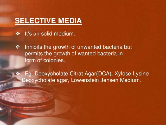 Culture media and methods for mbbs