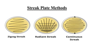 Streaking Method Pattern Culture Media and Streaking method.pptx