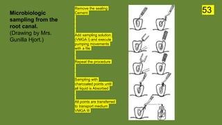 Remove the sealing
Cement
Add sampling solution
(VMGA I) and execute
pumping movements
with a file
Repeat the procedure
Sampling with
charcoaled points until
all liquid is Absorbed
All points are transferred
to transport medium
VMGA III
Microbiologic
sampling from the
root canal.
(Drawing by Mrs.
Gunilla Hjort.)
53
 