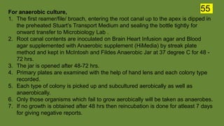 For anaerobic culture,
1. The first reamer/file/ broach, entering the root canal up to the apex is dipped in
the preheated Stuart’s Transport Medium and sealing the bottle tightly for
onward transfer to Microbiology Lab .
2. Root canal contents are inoculated on Brain Heart Infusion agar and Blood
agar supplemented with Anaerobic supplement (HiMedia) by streak plate
method and kept in McIntosh and Fildes Anaerobic Jar at 37 degree C for 48 -
72 hrs.
3. The jar is opened after 48-72 hrs.
4. Primary plates are examined with the help of hand lens and each colony type
recorded.
5. Each type of colony is picked up and subcultured aerobically as well as
anaerobically.
6. Only those organisms which fail to grow aerobically will be taken as anaerobes.
7. If no growth is obtained after 48 hrs then reincubation is done for atleast 7 days
for giving negative reports.
55
 