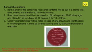 For aerobic culture,
1. next reamer or file containing root canal contents will be put in a sterile test
tube, sealed and transferred to the laboratory.
2. Root canal contents will be inoculated on Blood agar and MaConkey agar
and placed in an incubator at 37 degree C for 18 – 24hrs.
3. Colony characteristics will be noted in case of any growth and identification
of microorganisms is done by Grams staining and by standard biochemical
reactions.
Rani A. and Chopra A. Isolation and identification of root canal bacteria from symptomatic nonvital teeth with periapical pathosis.
Journal of Endodontology. 2007. vol 23(4). Page 45-6
56
 