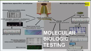 MOLECULAR
BIOLOGIC
TESTING
60
 