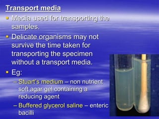 Trans Isolate Medium CULTURE MEDIA & CULTURE METHODS.ppt