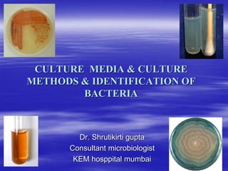 CULTURE MEDIA & CULTURE
METHODS & IDENTIFICATION OF
BACTERIA
Dr. Shrutikirti gupta
Consultant microbiologist
KEM hosppital mumbai
 