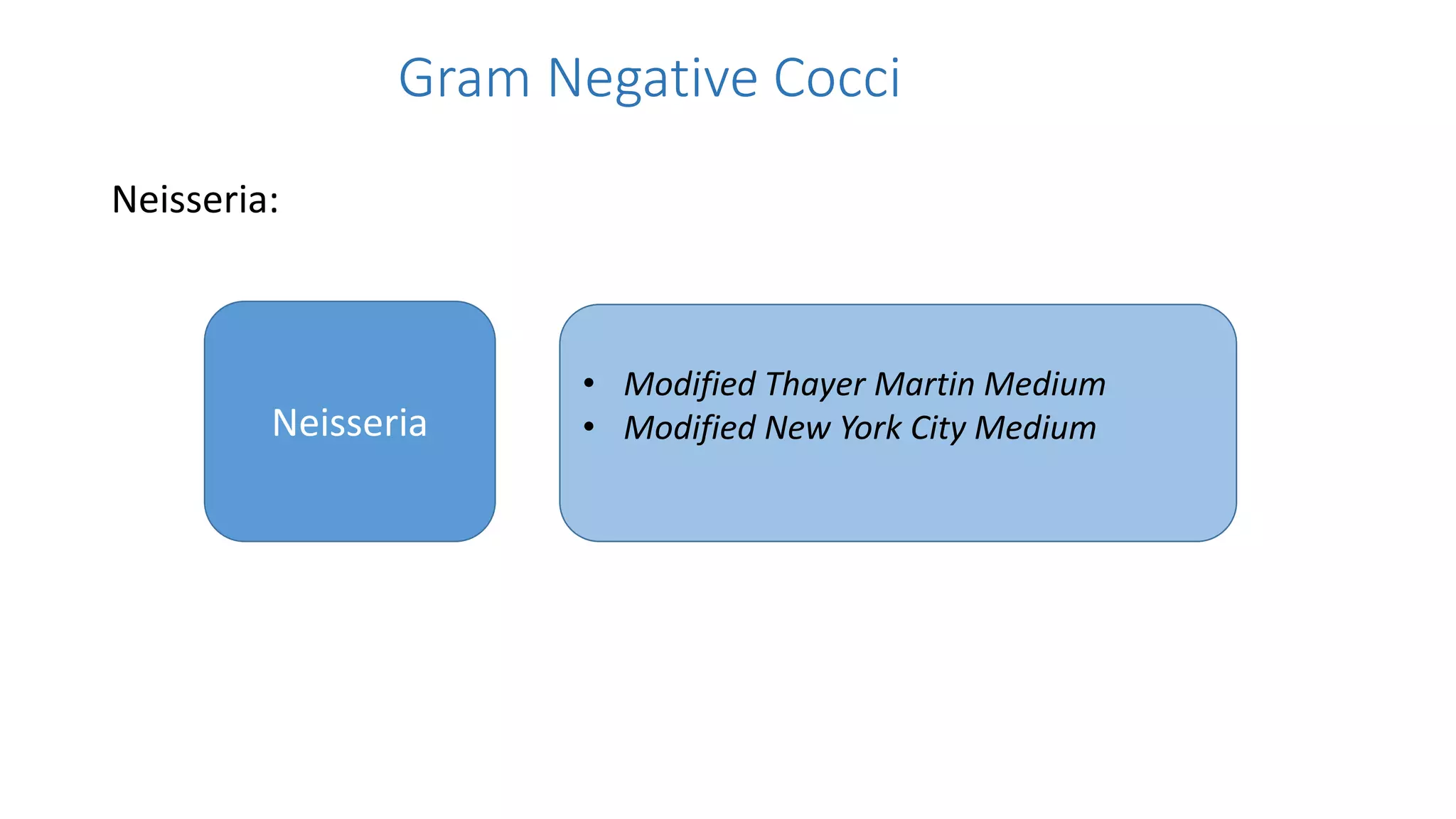 Gram Negative Cocci
Neisseria:
Neisseria
• Modified Thayer Martin Medium
• Modified New York City Medium
 