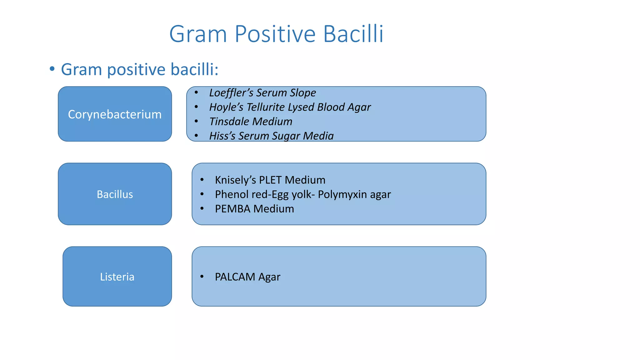 Gram Positive Bacilli
• Gram positive bacilli:
Corynebacterium
Bacillus
Listeria
• Loeffler’s Serum Slope
• Hoyle’s Tellurite Lysed Blood Agar
• Tinsdale Medium
• Hiss’s Serum Sugar Media
• Knisely’s PLET Medium
• Phenol red-Egg yolk- Polymyxin agar
• PEMBA Medium
• PALCAM Agar
 