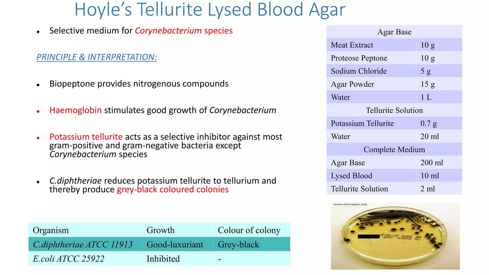 Hoyle’s Tellurite Lysed Blood Agar
 Selective medium for Corynebacterium species
PRINCIPLE & INTERPRETATION:
 Biopeptone provides nitrogenous compounds
 Haemoglobin stimulates good growth of Corynebacterium
 Potassium tellurite acts as a selective inhibitor against most
gram-positive and gram-negative bacteria except
Corynebacterium species
 C.diphtheriae reduces potassium tellurite to tellurium and
thereby produce grey-black coloured colonies
Agar Base
Meat Extract 10 g
Proteose Peptone 10 g
Sodium Chloride 5 g
Agar Powder 15 g
Water 1 L
Tellurite Solution
Potassium Tellurite 0.7 g
Water 20 ml
Complete Medium
Agar Base 200 ml
Lysed Blood 10 ml
Tellurite Solution 2 ml
Organism Growth Colour of colony
C.diphtheriae ATCC 11913 Good-luxuriant Grey-black
E.coli ATCC 25922 Inhibited -
 