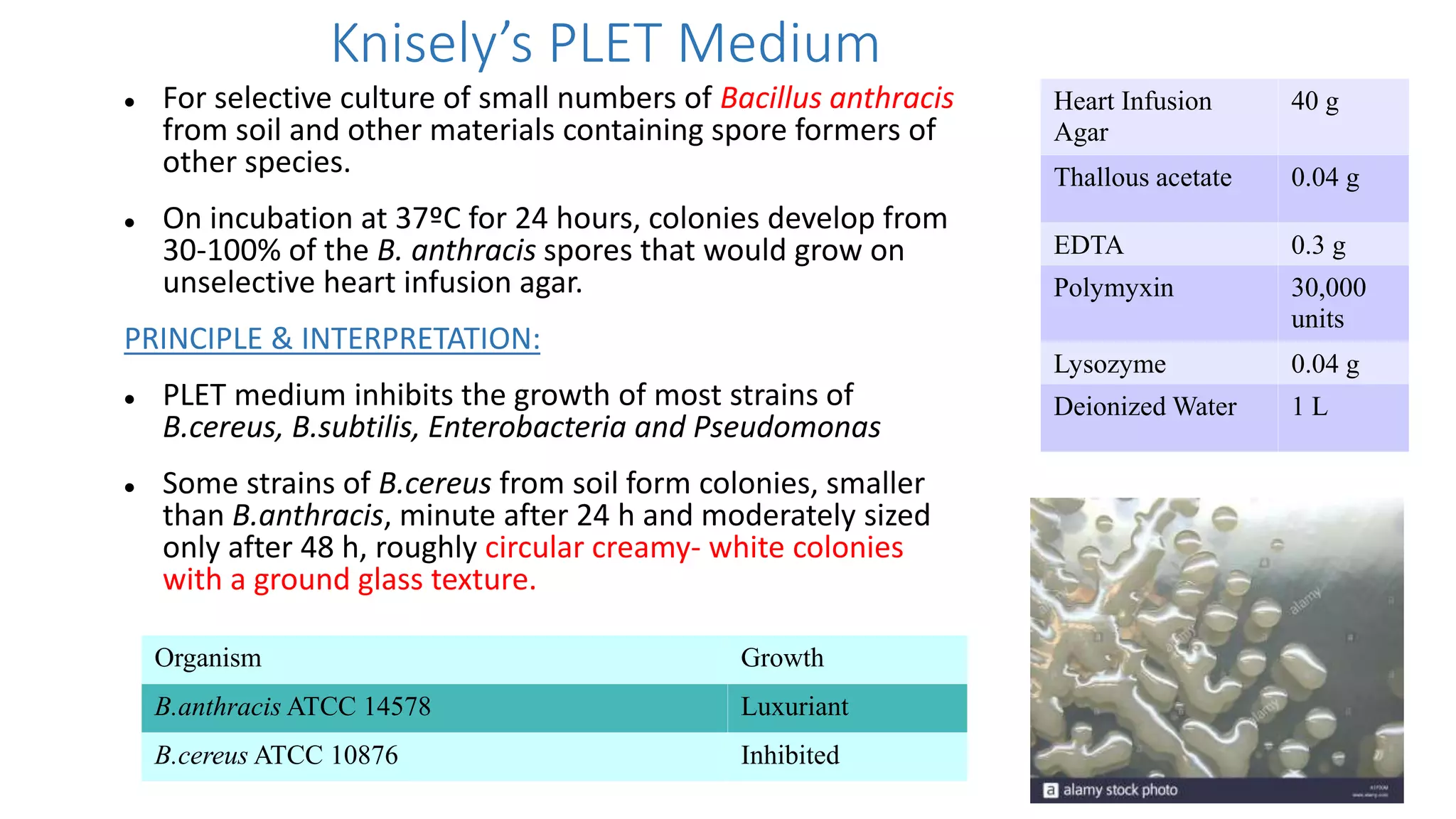 Knisely’s PLET Medium
 For selective culture of small numbers of Bacillus anthracis
from soil and other materials containing spore formers of
other species.
 On incubation at 37ºC for 24 hours, colonies develop from
30-100% of the B. anthracis spores that would grow on
unselective heart infusion agar.
PRINCIPLE & INTERPRETATION:
 PLET medium inhibits the growth of most strains of
B.cereus, B.subtilis, Enterobacteria and Pseudomonas
 Some strains of B.cereus from soil form colonies, smaller
than B.anthracis, minute after 24 h and moderately sized
only after 48 h, roughly circular creamy- white colonies
with a ground glass texture.
Heart Infusion
Agar
40 g
Thallous acetate 0.04 g
EDTA 0.3 g
Polymyxin 30,000
units
Lysozyme 0.04 g
Deionized Water 1 L
Organism Growth
B.anthracis ATCC 14578 Luxuriant
B.cereus ATCC 10876 Inhibited
 