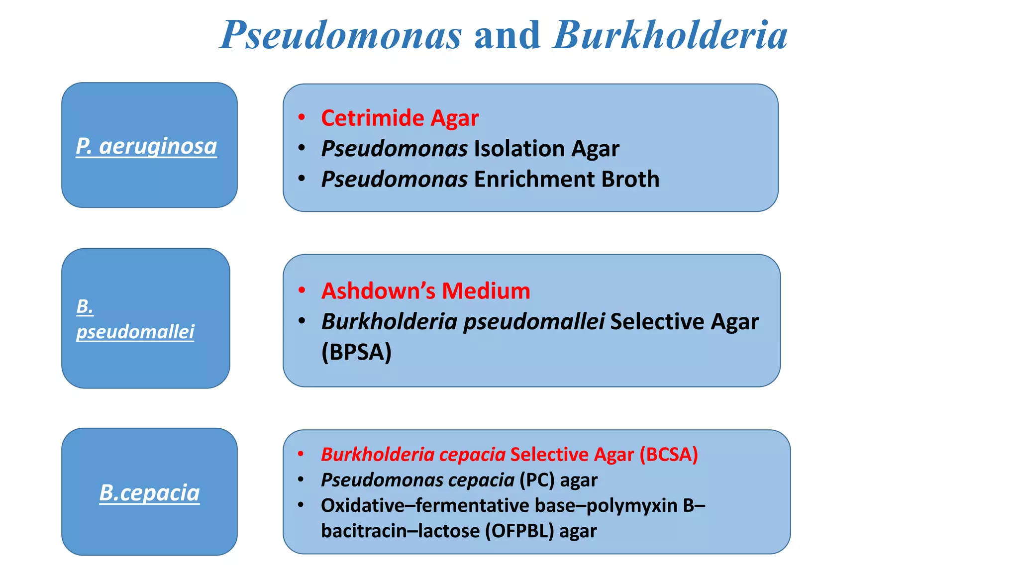 Pseudomonas and Burkholderia
P. aeruginosa
B.
pseudomallei
B.cepacia
• Cetrimide Agar
• Pseudomonas Isolation Agar
• Pseudomonas Enrichment Broth
• Ashdown’s Medium
• Burkholderia pseudomallei Selective Agar
(BPSA)
• Burkholderia cepacia Selective Agar (BCSA)
• Pseudomonas cepacia (PC) agar
• Oxidative–fermentative base–polymyxin B–
bacitracin–lactose (OFPBL) agar
 