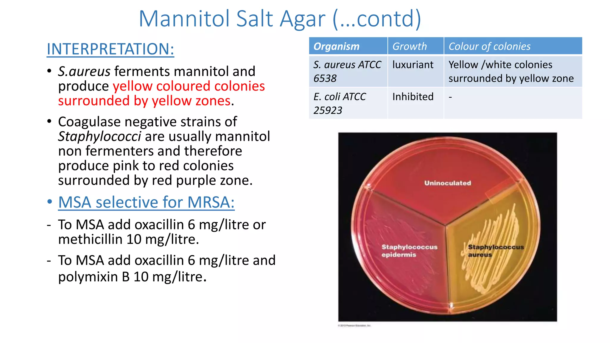 Mannitol Salt Agar (…contd)
INTERPRETATION:
• S.aureus ferments mannitol and
produce yellow coloured colonies
surrounded by yellow zones.
• Coagulase negative strains of
Staphylococci are usually mannitol
non fermenters and therefore
produce pink to red colonies
surrounded by red purple zone.
• MSA selective for MRSA:
- To MSA add oxacillin 6 mg/litre or
methicillin 10 mg/litre.
- To MSA add oxacillin 6 mg/litre and
polymixin B 10 mg/litre.
Organism Growth Colour of colonies
S. aureus ATCC
6538
luxuriant Yellow /white colonies
surrounded by yellow zone
E. coli ATCC
25923
Inhibited -
 