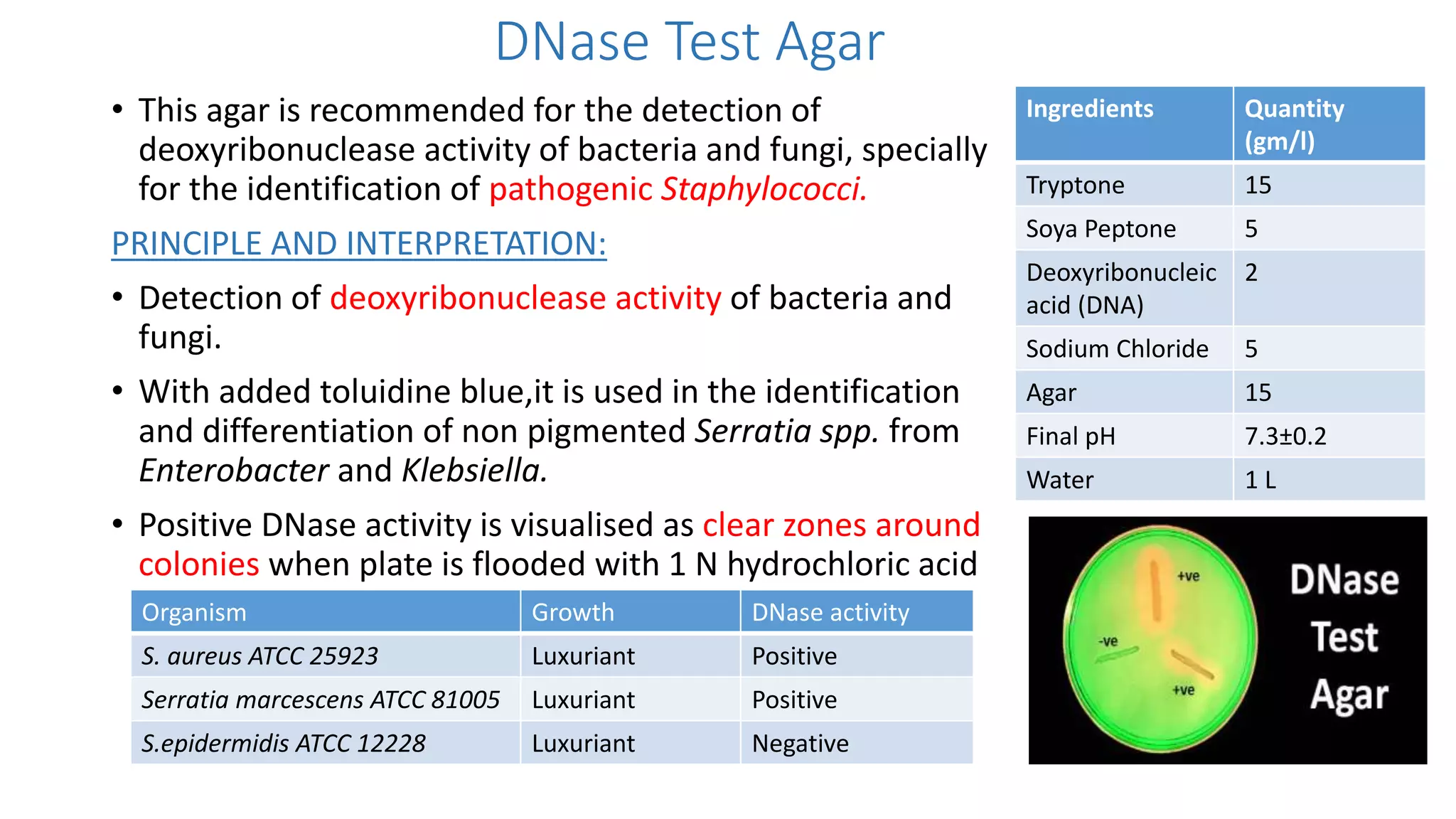 DNase Test Agar
• This agar is recommended for the detection of
deoxyribonuclease activity of bacteria and fungi, specially
for the identification of pathogenic Staphylococci.
PRINCIPLE AND INTERPRETATION:
• Detection of deoxyribonuclease activity of bacteria and
fungi.
• With added toluidine blue,it is used in the identification
and differentiation of non pigmented Serratia spp. from
Enterobacter and Klebsiella.
• Positive DNase activity is visualised as clear zones around
colonies when plate is flooded with 1 N hydrochloric acid
Organism Growth DNase activity
S. aureus ATCC 25923 Luxuriant Positive
Serratia marcescens ATCC 81005 Luxuriant Positive
S.epidermidis ATCC 12228 Luxuriant Negative
Ingredients Quantity
(gm/l)
Tryptone 15
Soya Peptone 5
Deoxyribonucleic
acid (DNA)
2
Sodium Chloride 5
Agar 15
Final pH 7.3±0.2
Water 1 L
 