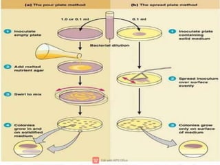 Culture method by imran ahmad | PPTX