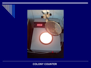 COLONY COUNTER  