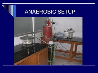 ANAEROBIC SETUP 