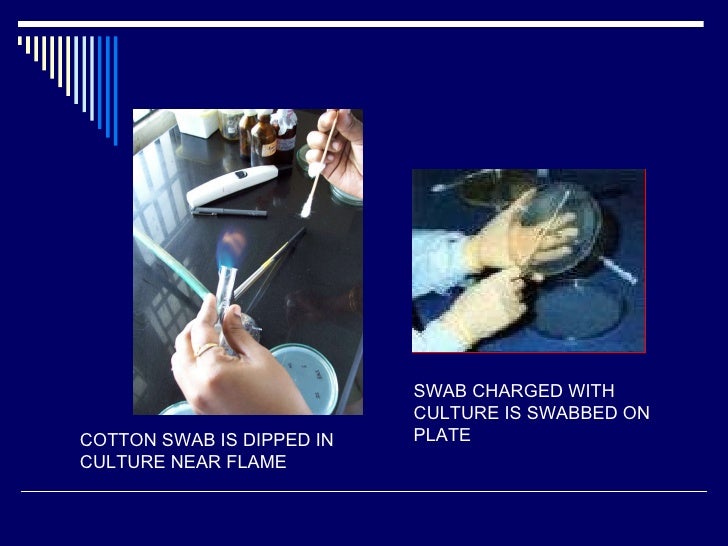 Culture methods