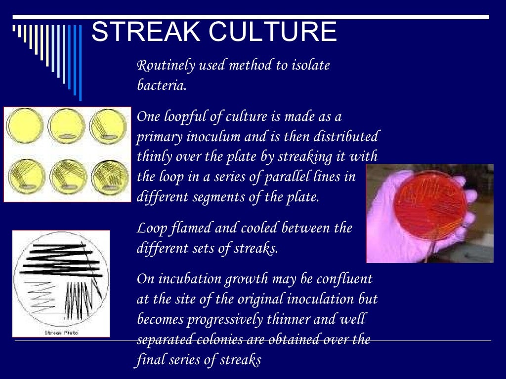 Culture methods