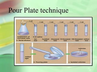 Pour Plate technique
 