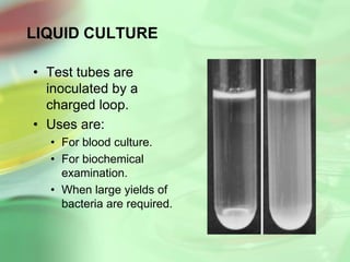 LIQUID CULTURE
• Test tubes are
inoculated by a
charged loop.
• Uses are:
• For blood culture.
• For biochemical
examination.
• When large yields of
bacteria are required.
 