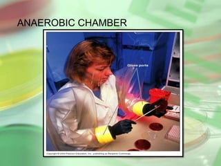 ANAEROBIC CHAMBER
 
