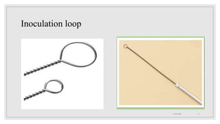Labeled Inoculation Loop Culture methods 2 | PPTX