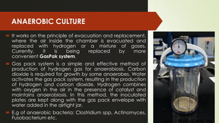 REJO – CAMS, QU
ANAEROBIC CULTURE
 It works on the principle of evacuation and replacement,
where the air inside the chamber is evacuated and
replaced with hydrogen or a mixture of gases.
Currently, it is being replaced by more
convenient GasPak system.
 Gas pack system is a simple and effective method of
production of hydrogen gas for anaerobiosis. Carbon
dioxide is required for growth by some anaerobes. Water
activates the gas pack system, resulting in the production
of hydrogen and carbon dioxide. Hydrogen combines
with oxygen in the air in the presence of catalyst and
maintains anaerobiosis. In this method, the inoculated
plates are kept along with the gas pack envelope with
water added in the airtight jar.
 E.g of anaerobic bacteria: Clostridium spp, Actinomyces,
Fusobacterium etc.
REJO – CAMS, QU
 