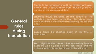 REJO – CAMS, QU
General
rules
during
Inoculation
Media to be inoculated should be labelled with glass
marker pen or self-adhesive label indicating the lab
number of the sample and date.
Labelling should be done on the bottom of the
petridishes and tubes rather than the lids or caps;
because there is a chance of misplacing the lids and
caps.
Labels should be checked again at the time of
inoculation.
For a right-handed person, the inoculating loop or
swab should be placed on the right hand and the
culture medium should be placed in the left hand.
REJO – CAMS, QU
 