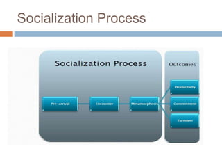 Socialization Process
 
