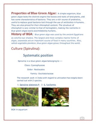 Culture of blue green algae and its importance | PDF