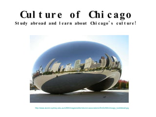 Culture of Chicago Study abroad and learn about Chicago’s culture! Study abroad and learn about Chicago’s culture! http://www.alumni.sydney.edu.au/s/965/images/editor/alumni-associations/SUGUNA/chicago_bubbleball.jpg   