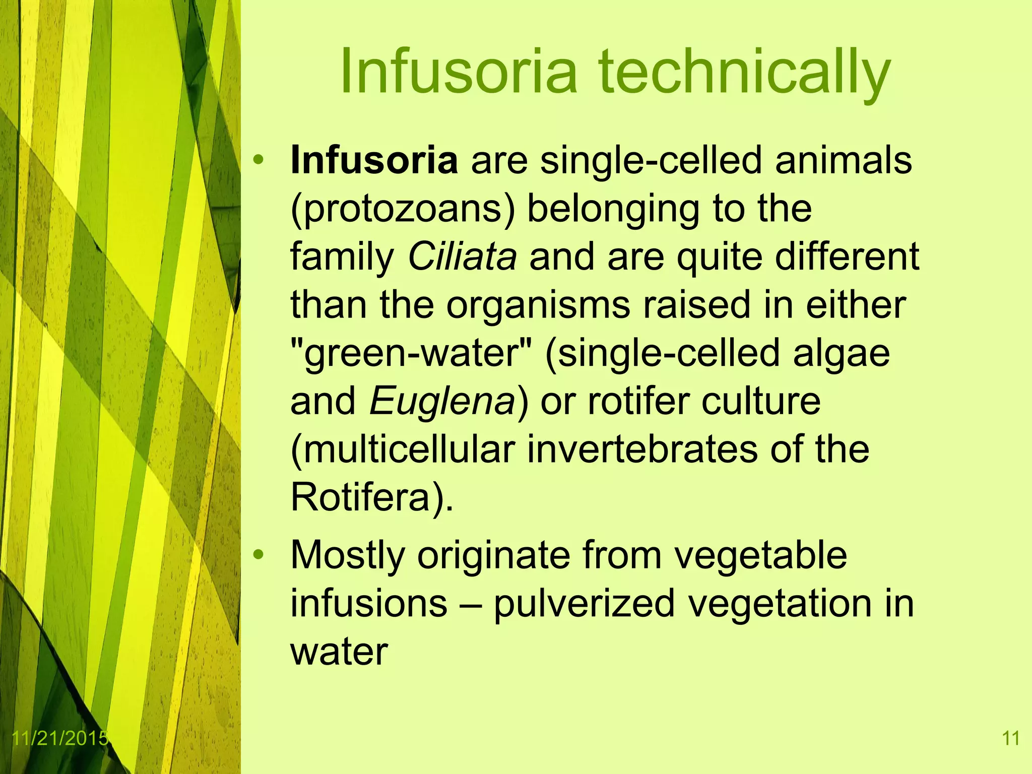 Culture of infusoria | PPTX