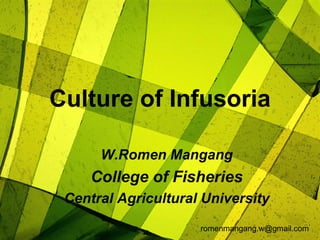 Culture of Infusoria
W.Romen Mangang
College of Fisheries
Central Agricultural University
romenmangang.w@gmail.com
 