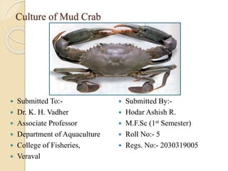 Culture of Mud Crab
 Submitted To:-
 Dr. K. H. Vadher
 Associate Professor
 Department of Aquaculture
 College of Fisheries,
 Veraval
 Submitted By:-
 Hodar Ashish R.
 M.F.Sc (1st Semester)
 Roll No:- 5
 Regs. No:- 2030319005
 