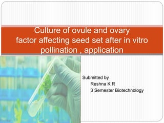 Submitted by
Reshna K R
3 Semester Biotechnology
Culture of ovule and ovary
factor affecting seed set after in vitro
pollination , application
 
