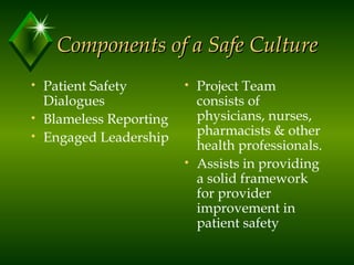 Culture of Safety CEO | PPT