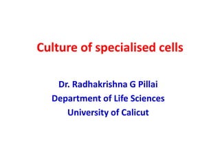 Culture of specialised cells
Dr. Radhakrishna G Pillai
Department of Life Sciences
University of Calicut
 