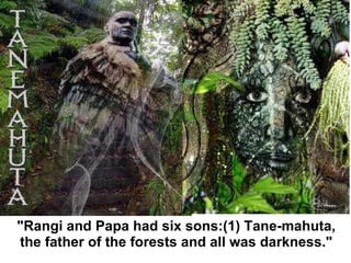 "Rangi and Papa had six sons:(1) Tane-mahuta, the father of the forests and all was darkness." 