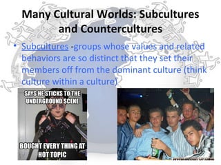 Many Cultural Worlds: Subcultures
        and Countercultures
• Subcultures -groups whose values and related
  behaviors are so distinct that they set their
  members off from the dominant culture (think
  culture within a culture)
 