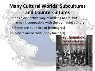 Many Cultural Worlds: Subcultures
      and Countercultures
 • has a distinctive way of looking at life, but
   remains compatible with the dominant culture.
 • Some are quite broad (teenagers)
 • others are narrow (body builders).
 
