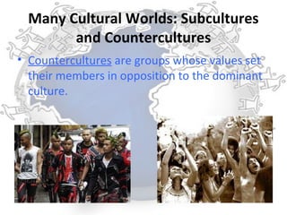 Many Cultural Worlds: Subcultures
       and Countercultures
• Countercultures are groups whose values set
  their members in opposition to the dominant
  culture.
 