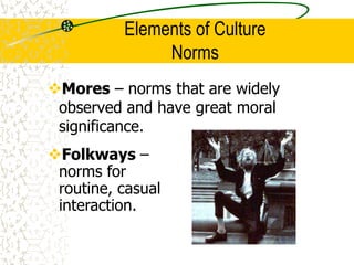 Elements of Culture
Norms
Mores – norms that are widely
observed and have great moral
significance.
Folkways –
norms for
routine, casual
interaction.
 