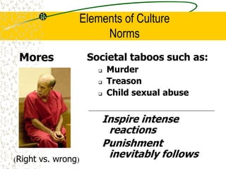 Elements of Culture
Norms
Mores
Inspire intense
reactions
Punishment
inevitably follows
Societal taboos such as:
 Murder
 Treason
 Child sexual abuse
(Right vs. wrong)
 