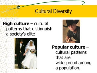 Cultural Diversity
Popular culture –
cultural patterns
that are
widespread among
a population.
High culture – cultural
patterns that distinguish
a society’s elite
 