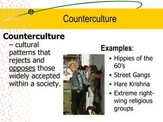 Counterculture
Examples:
• Hippies of the
60’s
• Street Gangs
• Hare Krishna
• Extreme right-
wing religious
groups
Counterculture
– cultural
patterns that
rejects and
opposes those
widely accepted
within a society.
 